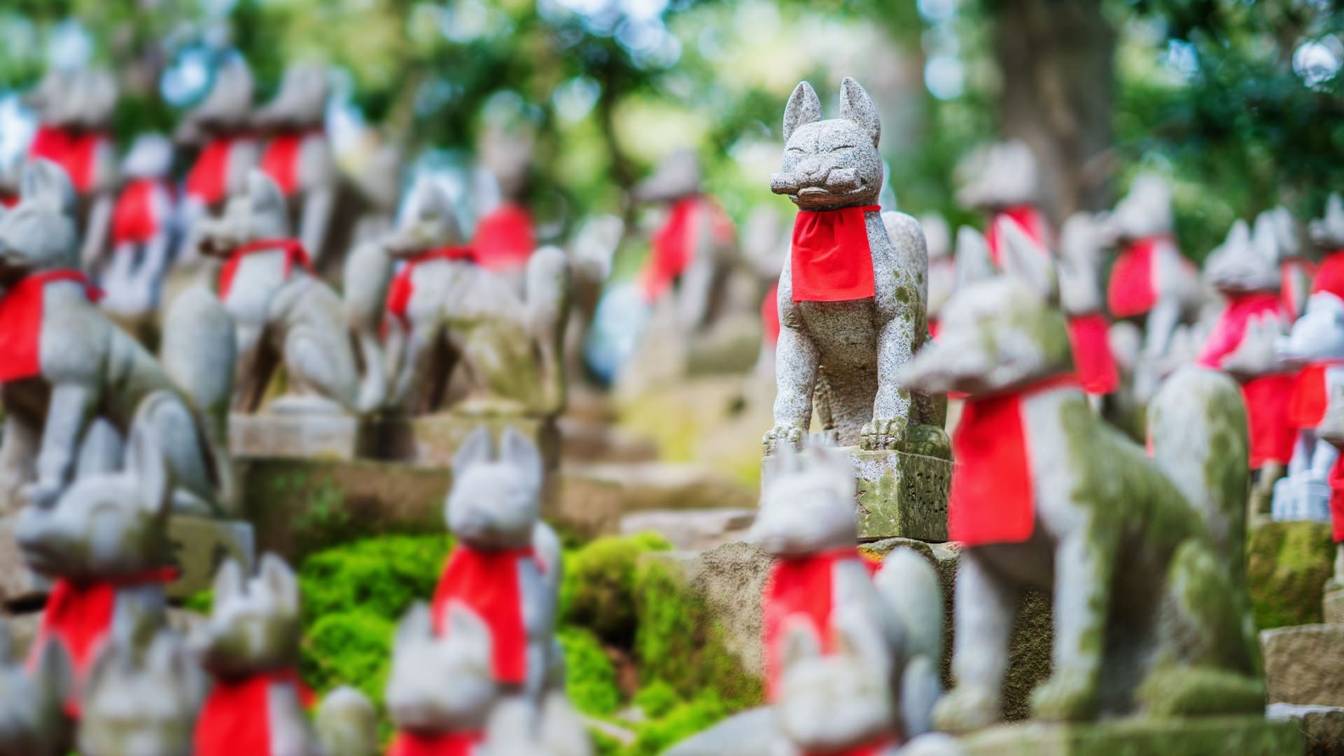 「きつねのおやど」のかわいい狐や九尾の狐のグッズは神社好きの方へのプレゼントにもおすすめです。
